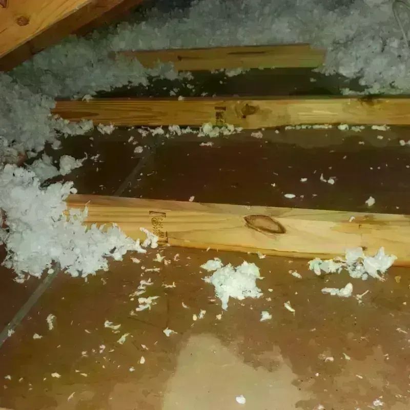 Attic Water Damage in Viola, NY